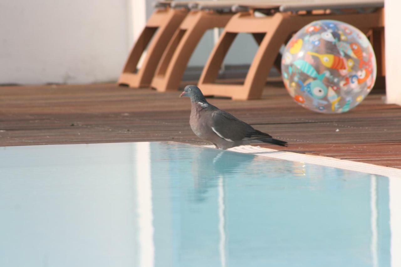 Luciana Hotel Bibione
